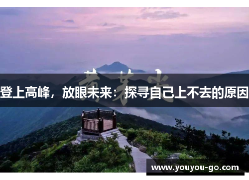 登上高峰，放眼未来：探寻自己上不去的原因